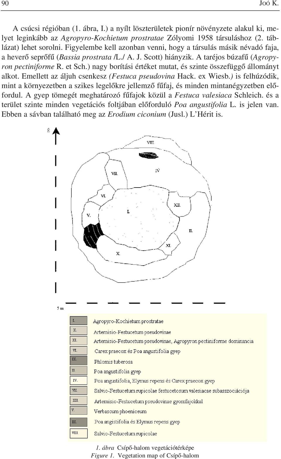 ) nagy borítási értéket mutat, és szinte összefüggõ állományt alkot. Emellett az áljuh csenkesz (Festuca pseudovina Hack. ex Wiesb.