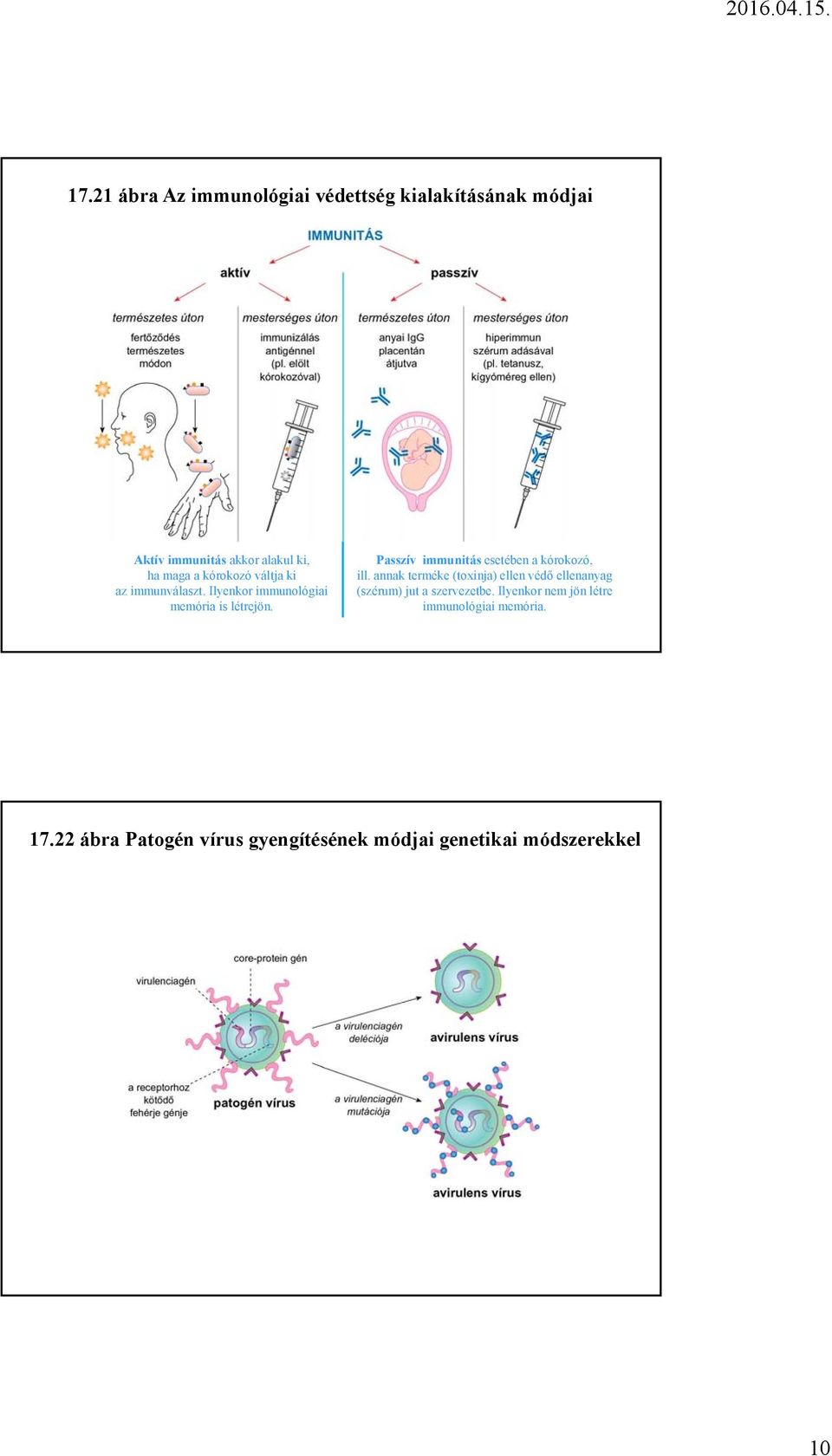 Kórokozó paraziták és immunitás bevezetése - Tumorellenes immunválasz kiváltása kórokozókkal