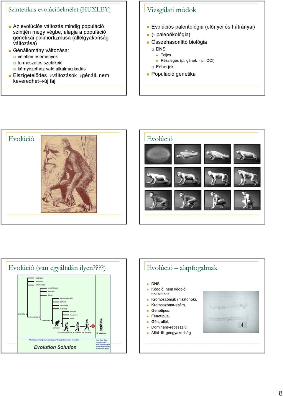 nem keveredhet új faj Evolúciós palentológia (előnyei és hátrányai) (- paleoökológia) Összehasonlító biológia DNS Teljes Részleges (pl. gének - pl.