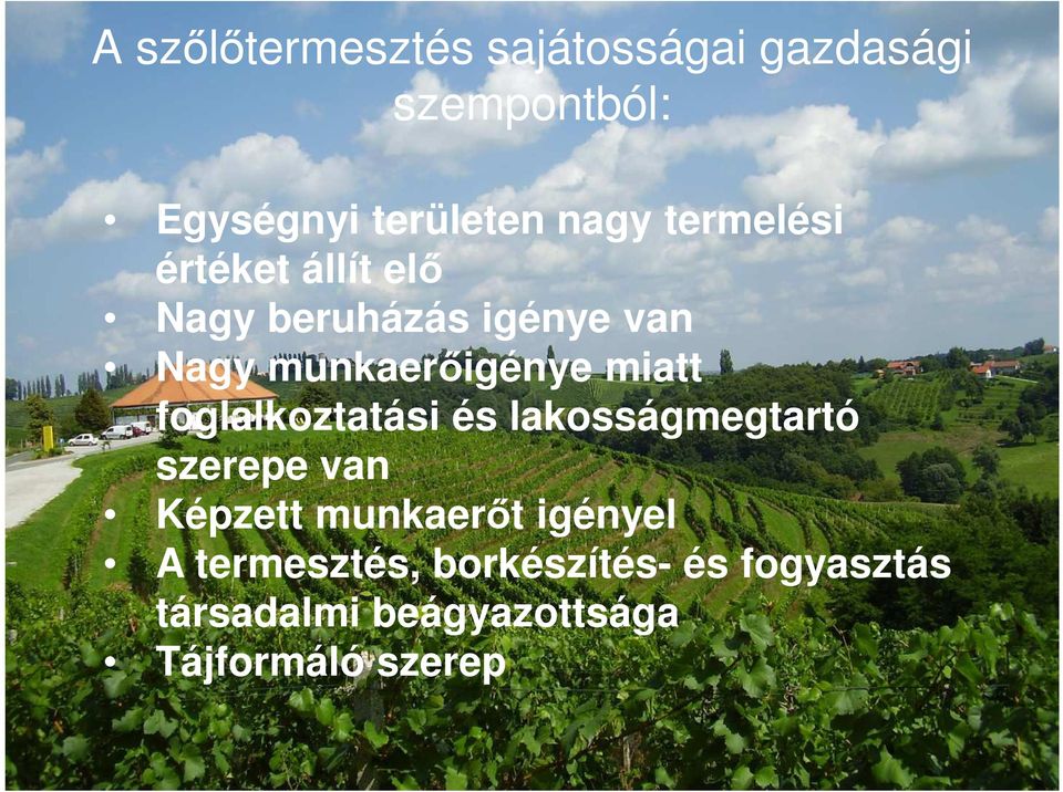 foglalkoztatási és lakosságmegtartó szerepe van Képzett munkaerőt igényel A