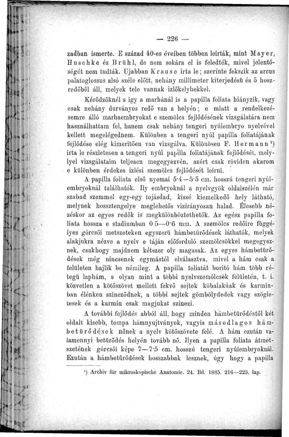 Kérődzőknél s igy a marhánál is a papilla foliata hiányzik, vagy csak néhány durványos redő van a helyén; e miatt a rendelkezésemre álló marhaembryokat e szemölcs fejlődésének vizsgálatára nem