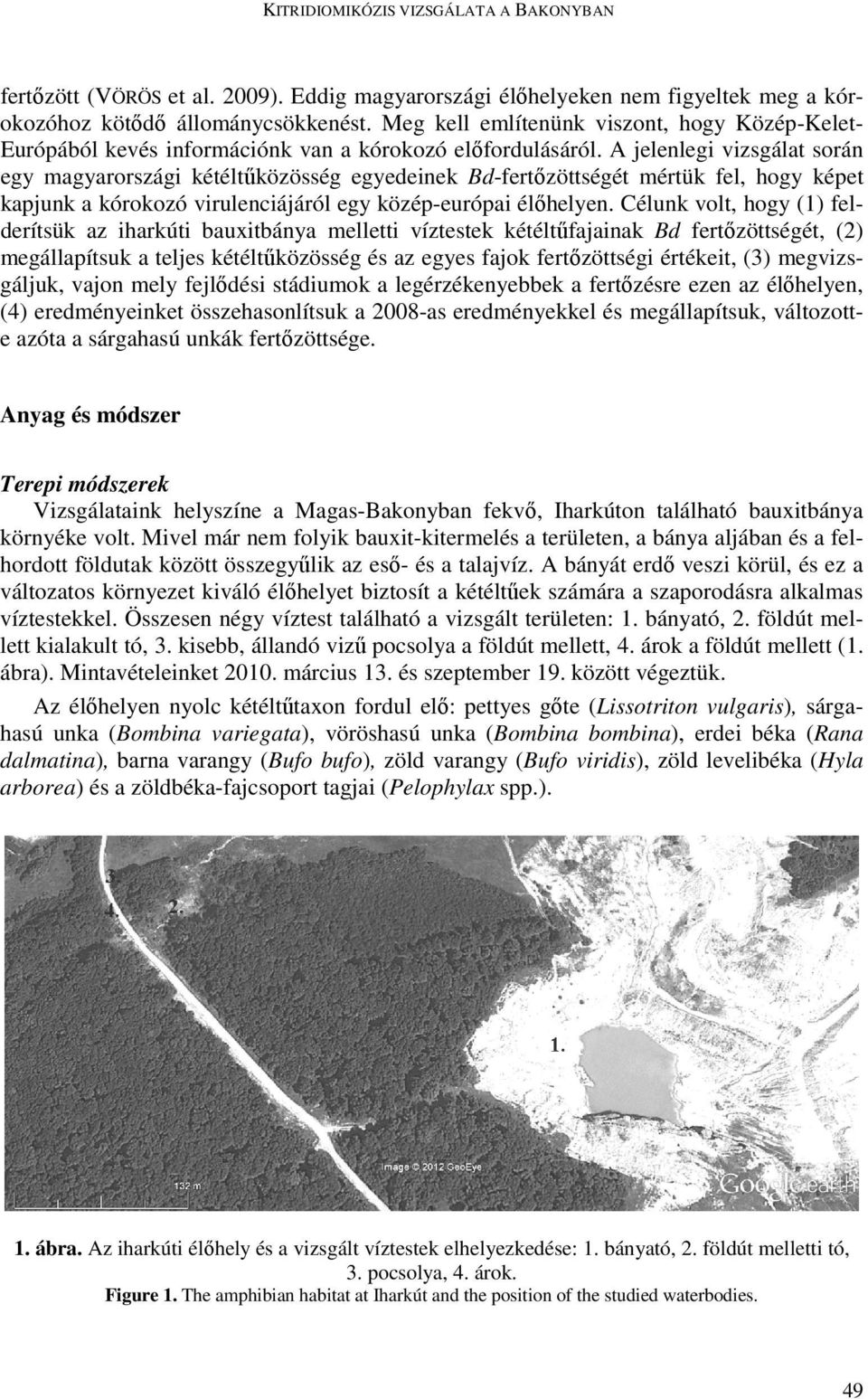 A jelenlegi vizsgálat során egy magyarországi kétéltűközösség egyedeinek Bd-fertőzöttségét mértük fel, hogy képet kapjunk a kórokozó virulenciájáról egy közép-európai élőhelyen.