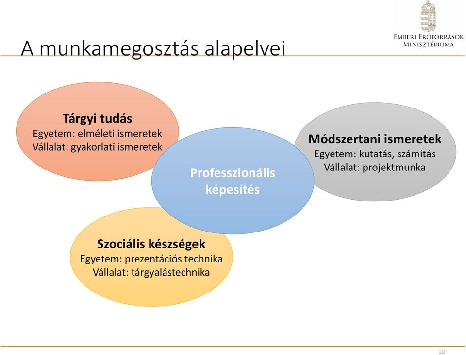 ismeretek Egyetem: kutatás, számítás Vállalat: projektmunka Szociális