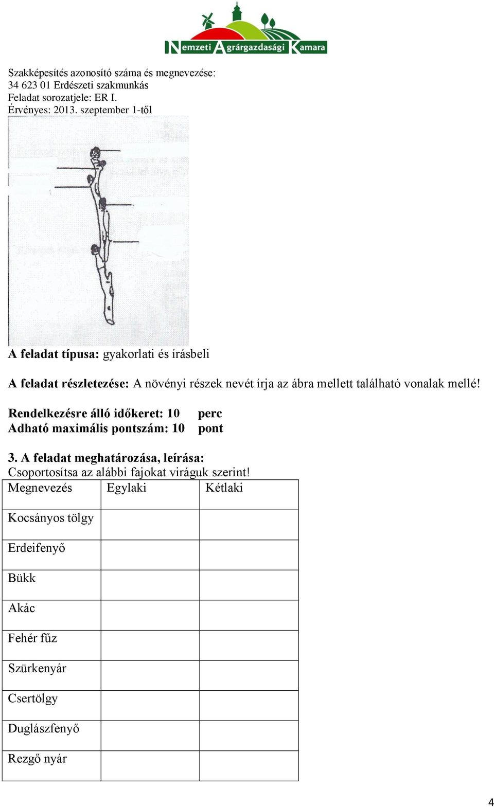 A feladat meghatározása, leírása: Csoportosítsa az alábbi fajokat viráguk szerint!