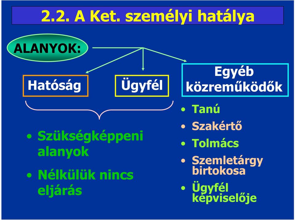 Egyéb közreműködők Szükségképpeni alanyok