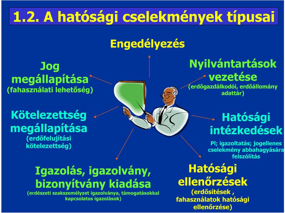 támogatásokkal kapcsolatos igazolások) Nyilvántartások vezetése (erdőgazdálkodói, erdőállomány adattár) Hatósági
