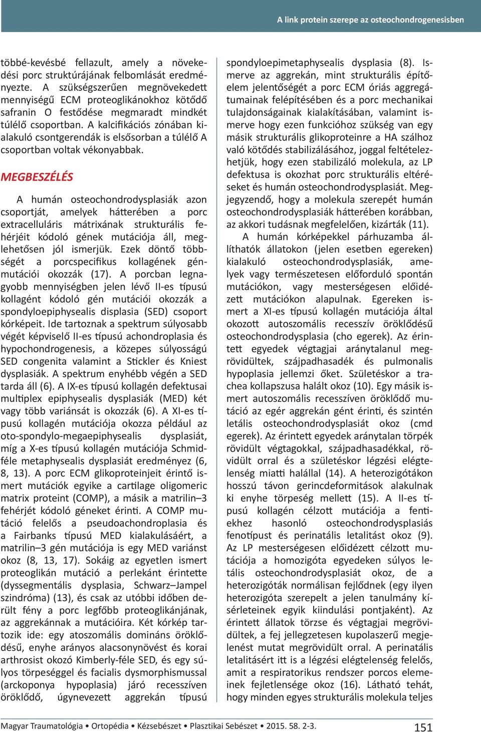 A kalcifikációs zónában kialakuló csontgerendák is elsősorban a túlélő A csoportban voltak vékonyabbak.