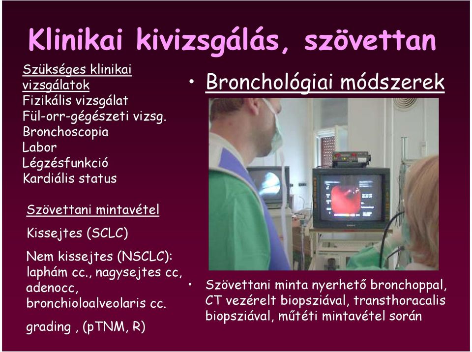 (SCLC) Nem kissejtes (NSCLC): laphám cc., nagysejtes cc, adenocc, bronchioloalveolaris cc.