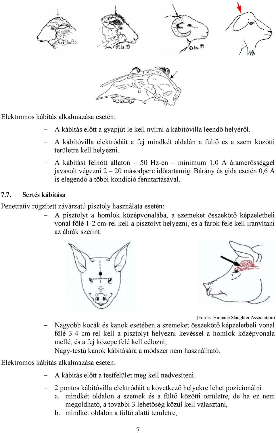 A kábítást felnőtt állaton 50 Hz-en minimum 1,0 A áramerősséggel javasolt végezni 2 20 másodperc időtartamig. Bárány és gida esetén 0,6 A is elegendő a többi kondíció fenntartásával.