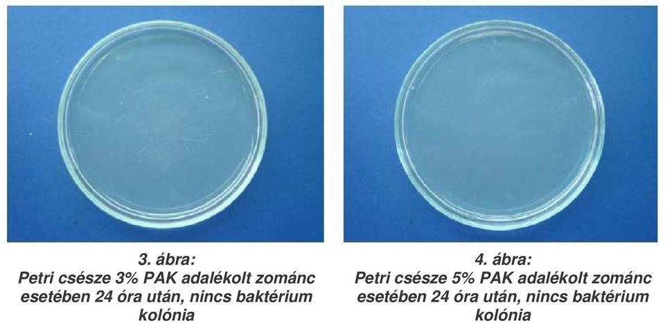 4. ábra: Petri csésze 5% PAK adalékolt zománc