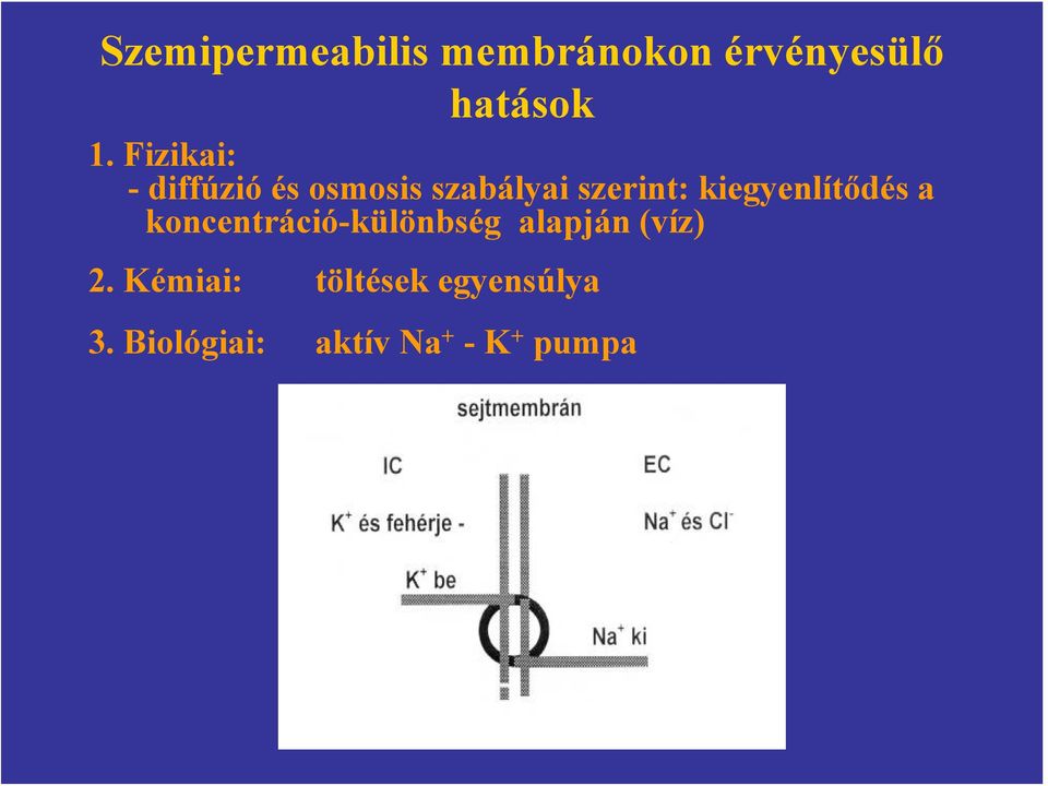 kiegyenlítődés a koncentráció-különbség alapján (víz) 2.