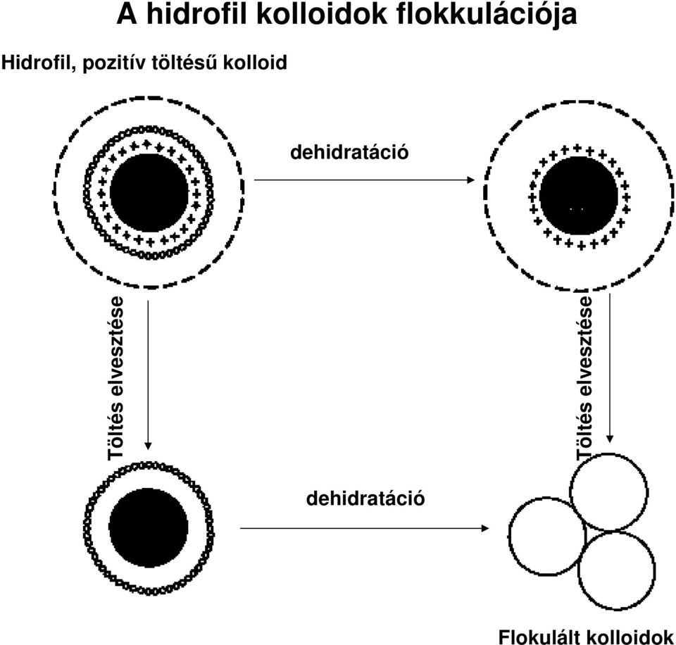 dehidratáció Töltés elvesztése Töltés