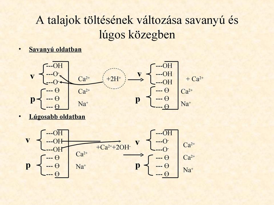 --- Ө Na + --- Ө Lúgosabb oldatban + Ca 2+ Ca 2+ Na + v p ---OH ---OH ---OH v ---O -