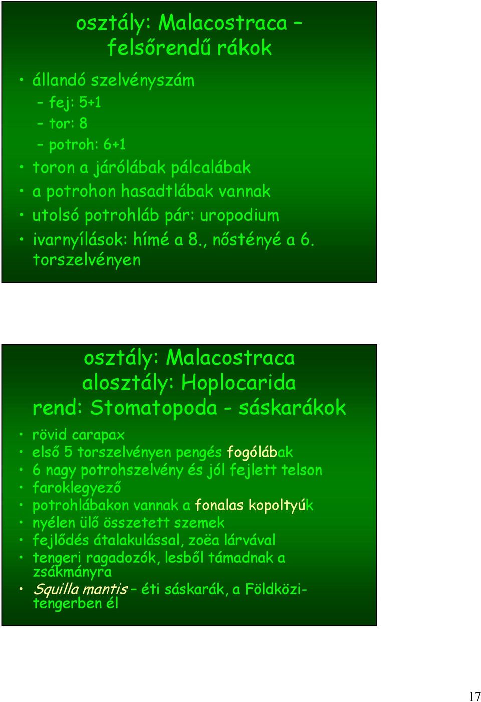 torszelvényen osztály: Malacostraca alosztály: Hoplocarida rend: Stomatopoda - sáskarákok rövid carapax első 5 torszelvényen pengés fogólábak 6 nagy