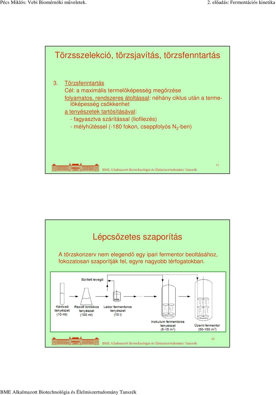 a termelőképesség csökkenhet a tenyészetek tartósításával: - fagyasztva szárítással (liofilezés) - mélyhűtéssel