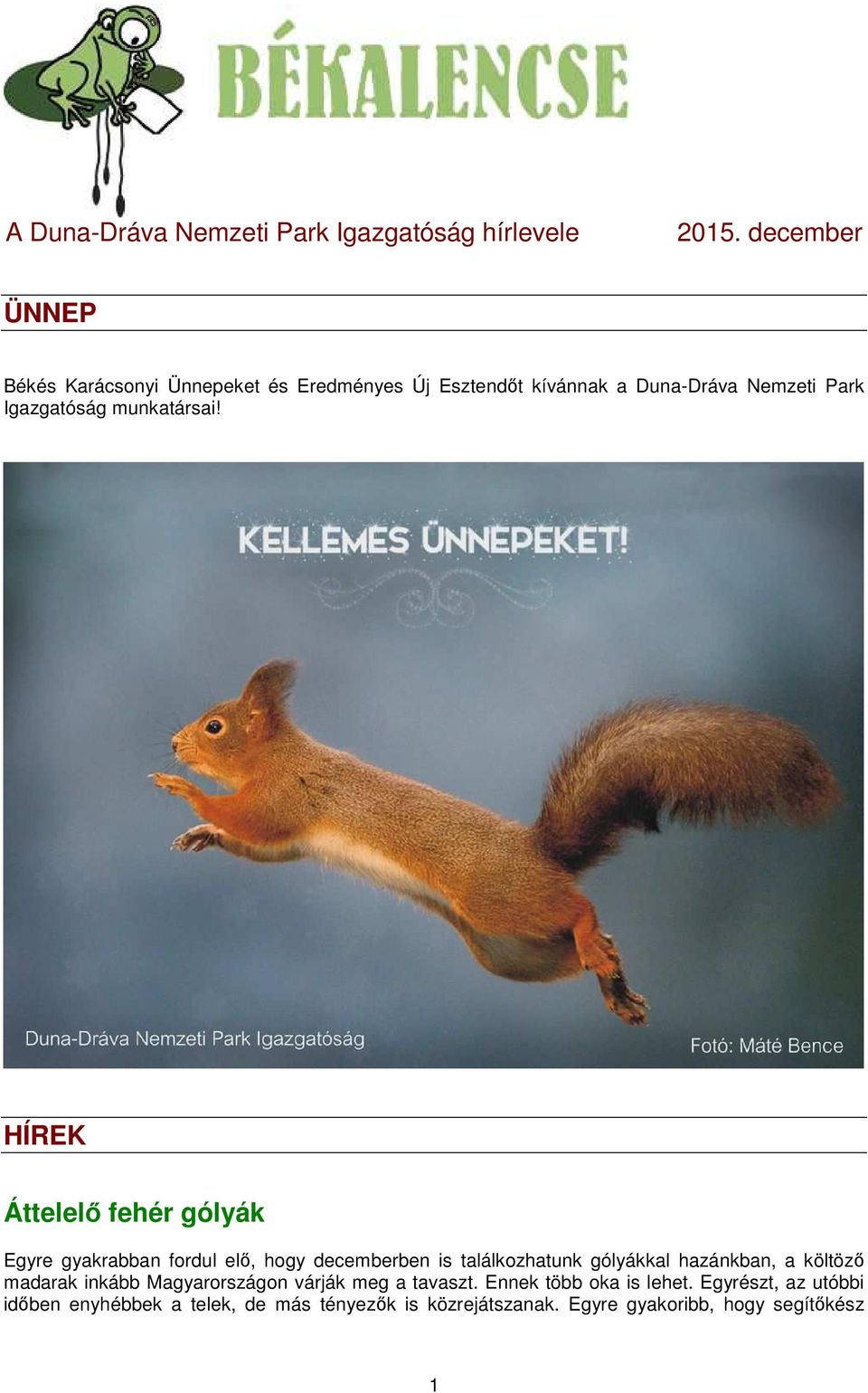 munkatársai!