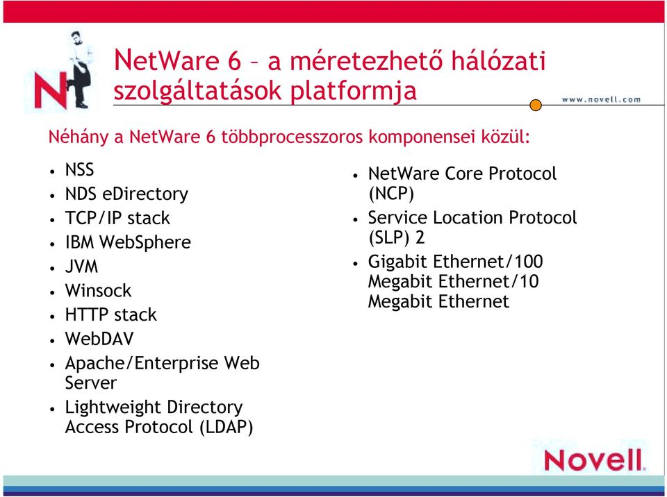 Apache/Enterprise Web Server Lightweight Directory Access Protocol (LDAP) NetWare Core Protocol