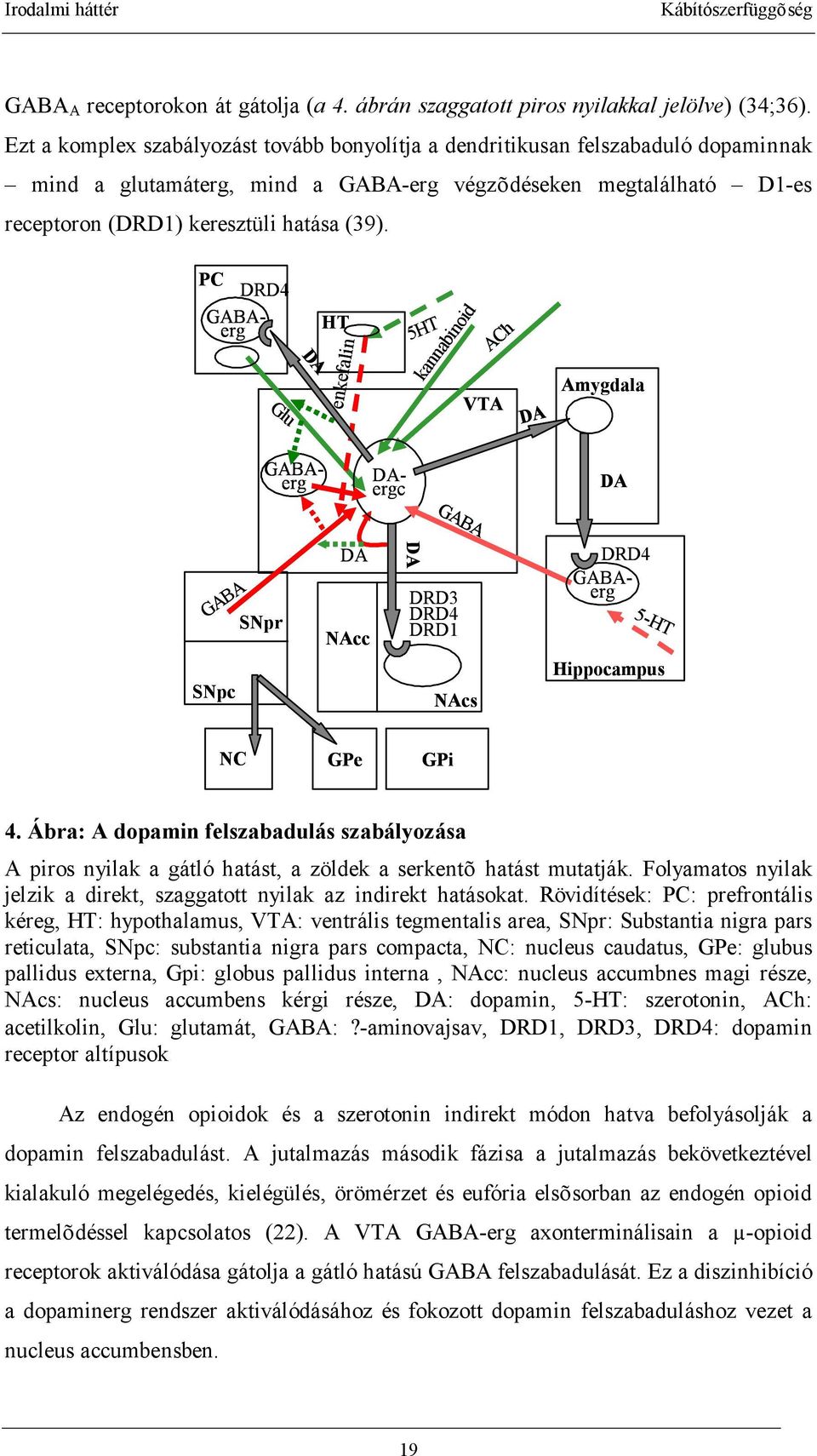 PC DRD4 GABAerg Glu DA HT enkefalin 5HT kannabinoid ACh VTA DA Amygdala DAergc GABAerg DA GABA DA DRD4 GABA SNpc SNpr NAcc DRD3 DRD4 DRD1 NAcs GABA-5-HT erg Hippocampus NC GPe GPi 4.