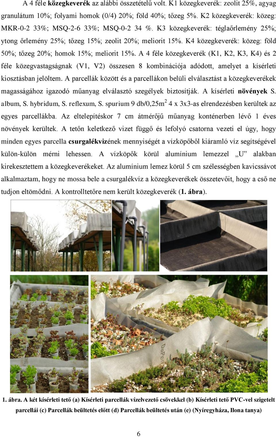 K4 közegkeverék: közeg: föld 50%; tőzeg 20%; homok 15%; meliorit 15%.