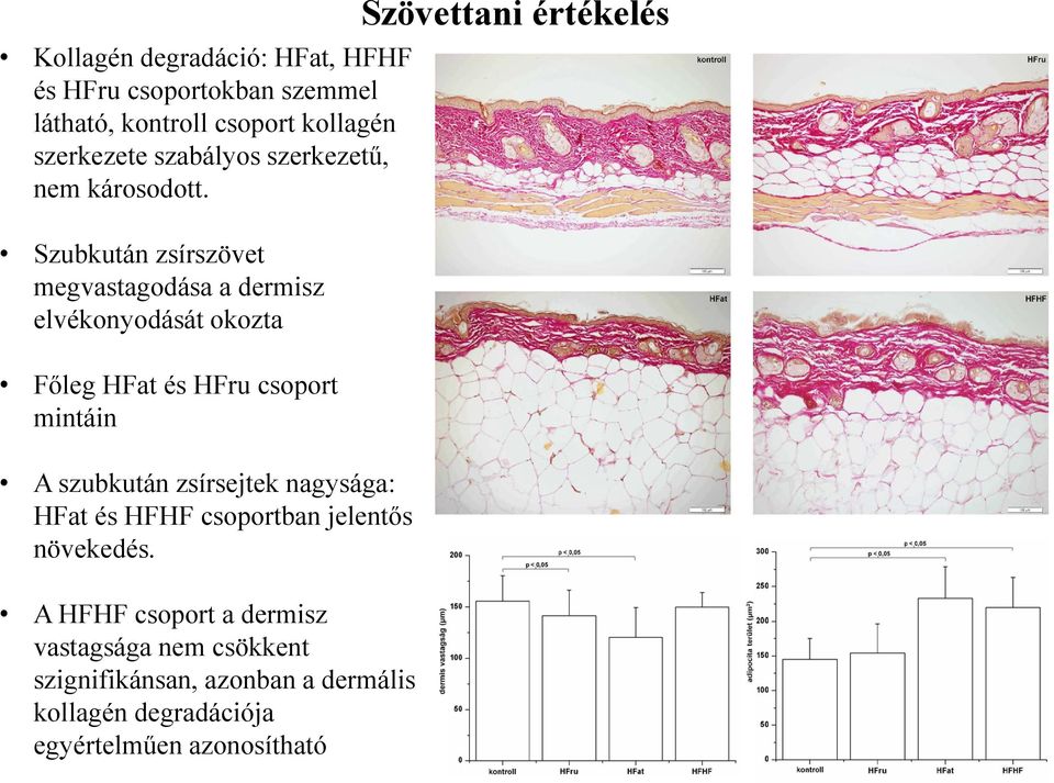 Szubkután zsírszövet megvastagodása a dermisz elvékonyodását okozta Főleg HFat és HFru csoport mintáin A szubkután