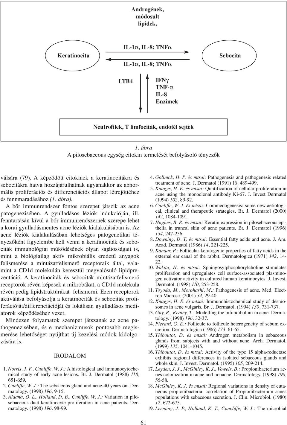 A képzôdött citokinek a keratinocitákra és sebocitákra hatva hozzájárulhatnak ugyanakkor az abnormális proliferációs és differenciációs állapot létrejöttéhez és fennmaradásához (1. ábra).