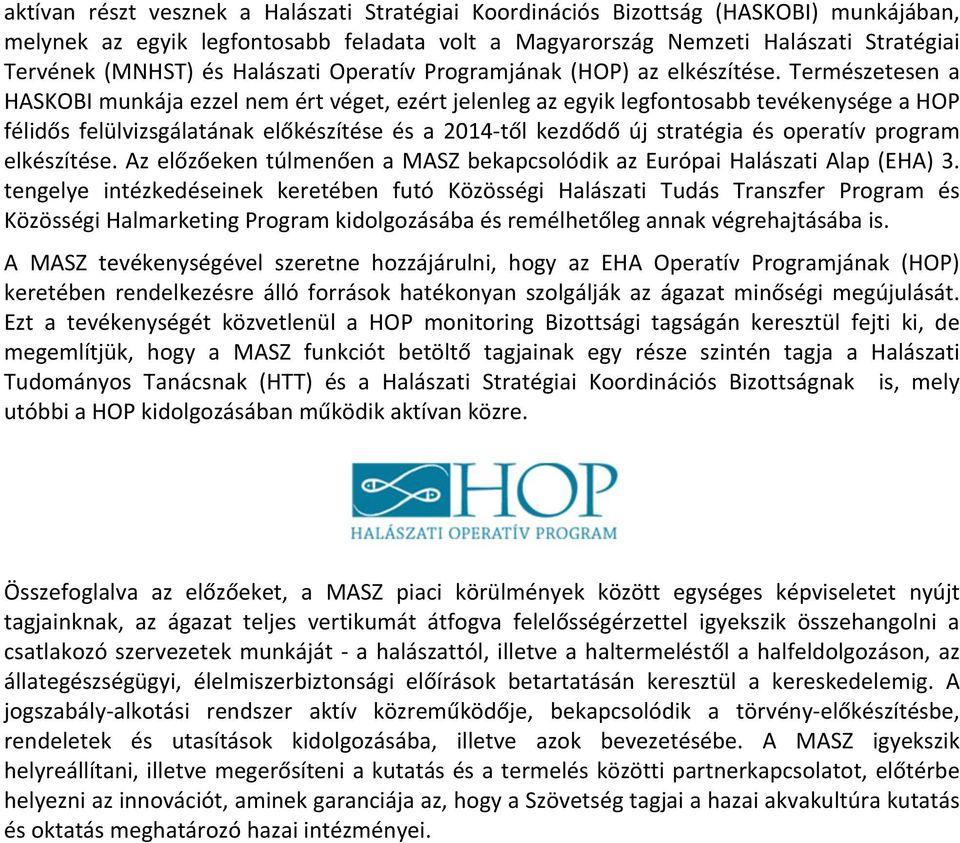 Természetesen a HASKOBI munkája ezzel nem ért véget, ezért jelenleg az egyik legfontosabb tevékenysége a HOP félidős felülvizsgálatának előkészítése és a 2014- től kezdődő új stratégia és operatív