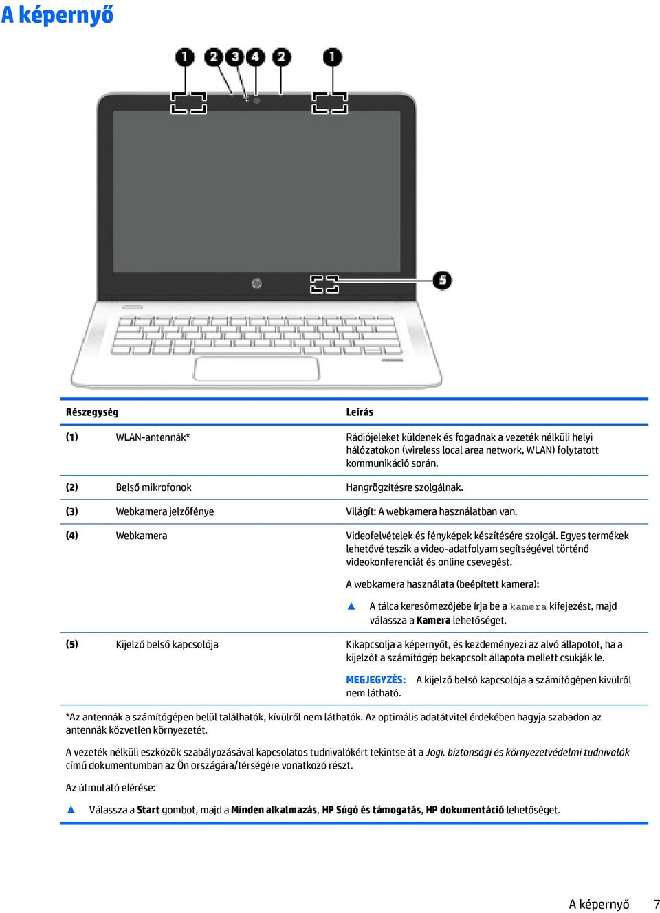 Egyes termékek lehetővé teszik a video-adatfolyam segítségével történő videokonferenciát és online csevegést.