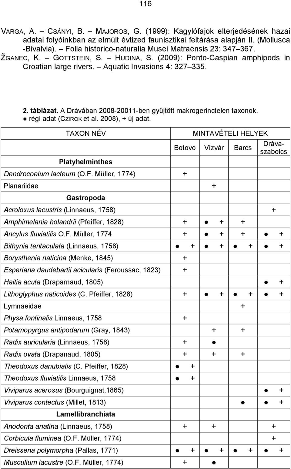 A Drávában 2008-20011-ben gyűjtött makrogerinctelen taxonok. régi adat (CZIROK et al. 2008), + új adat. TAXON NÉV Platyhelminthes Dendrocoelum lacteum (O.F.