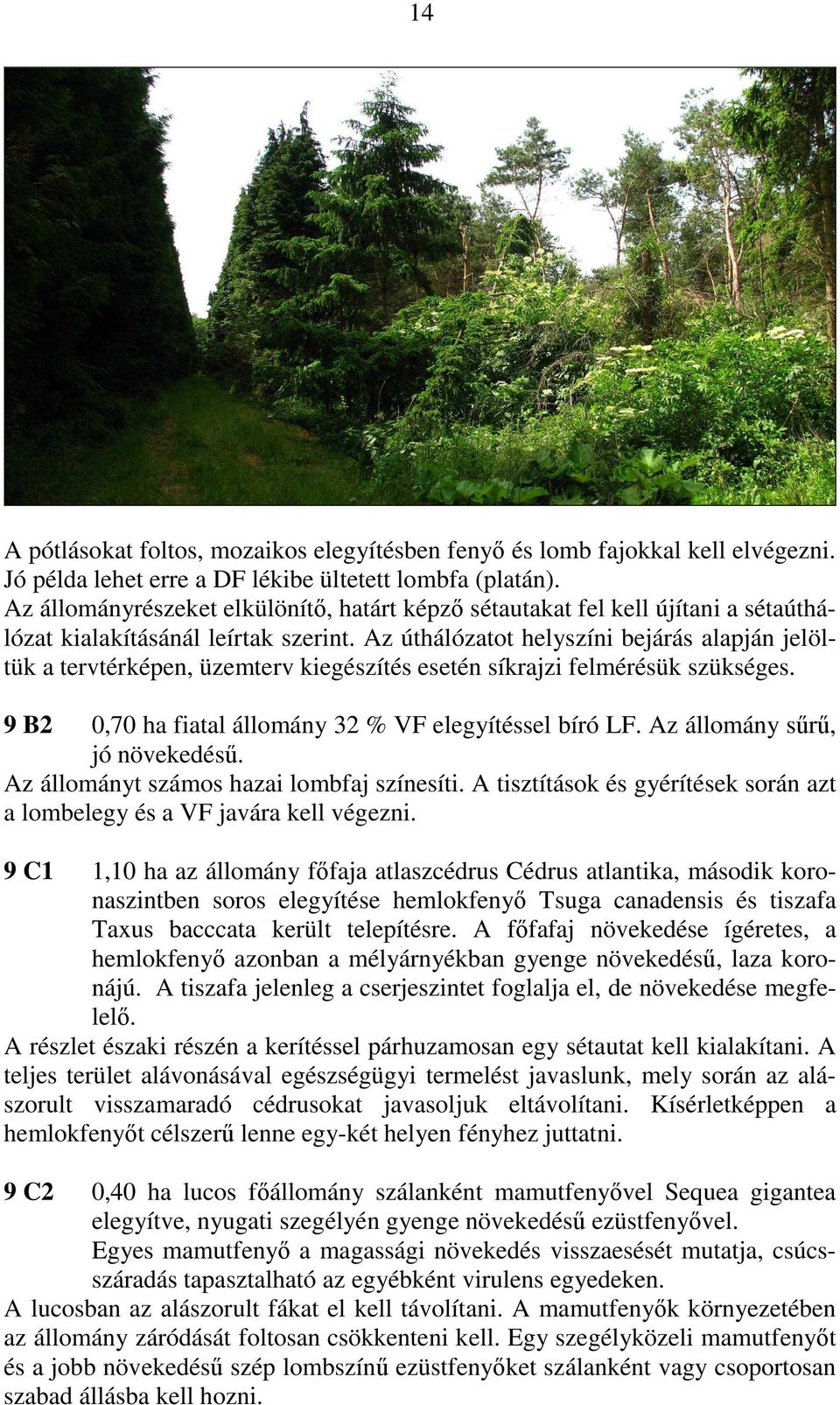 Az úthálózatot helyszíni bejárás alapján jelöltük a tervtérképen, üzemterv kiegészítés esetén síkrajzi felmérésük szükséges. 9 B2 0,70 ha fiatal állomány 32 % VF elegyítéssel bíró LF.