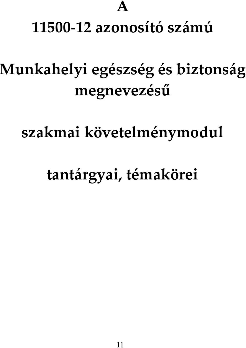 biztonság megnevezésű szakmai