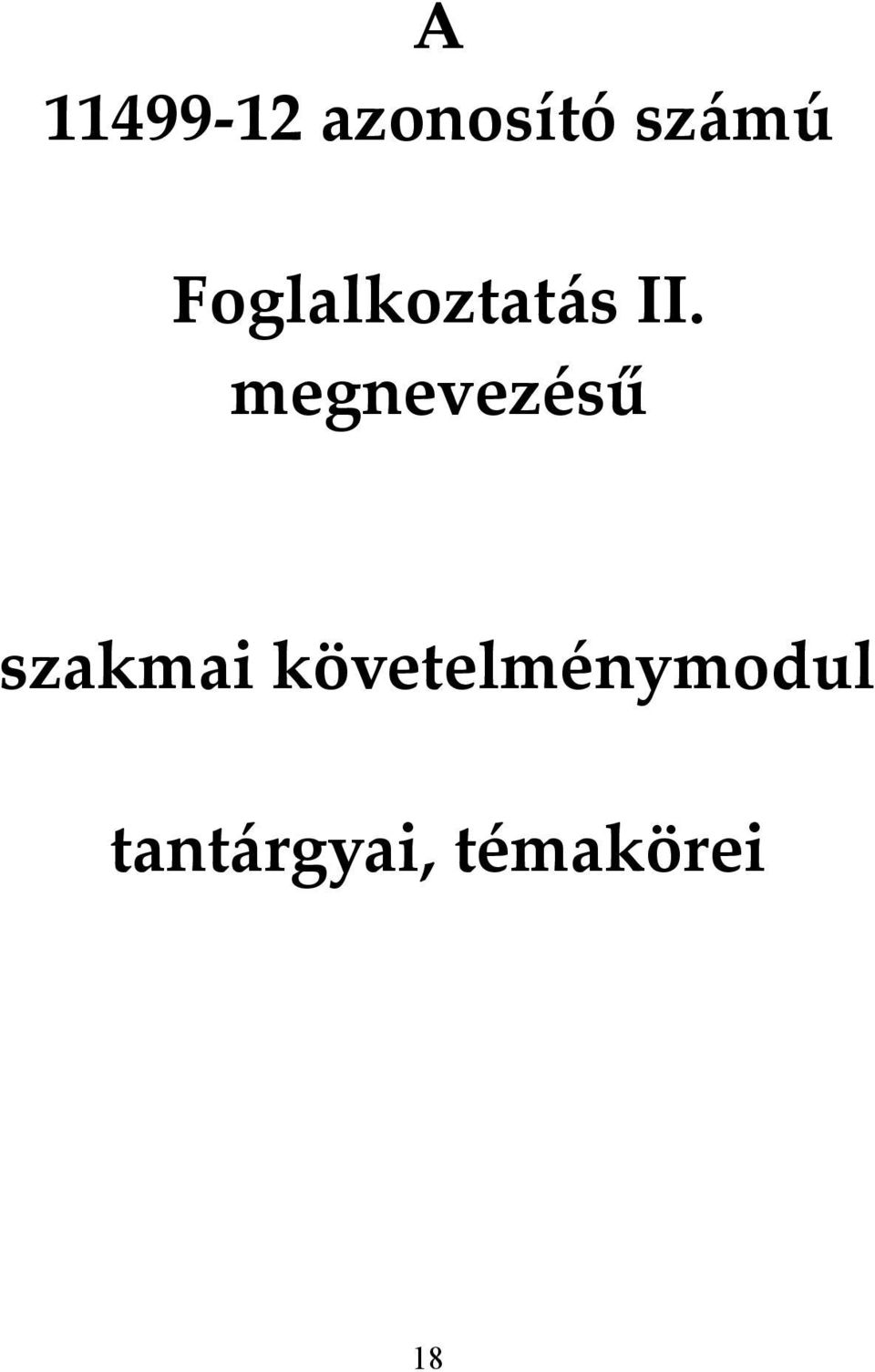 megnevezésű szakmai