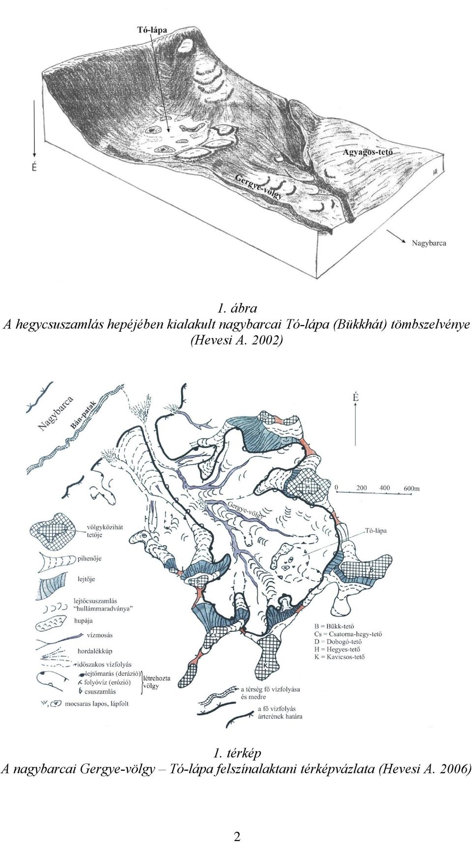 (Hevesi A. 2002) 1.