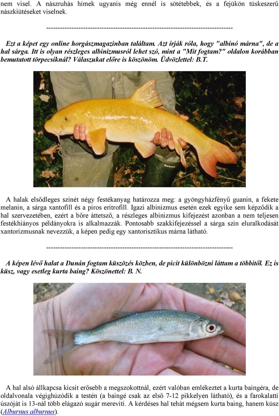 Üdvözlettel: B.T. A halak elsődleges színét négy festékanyag határozza meg: a gyöngyházfényű guanin, a fekete melanin, a sárga xantofill és a piros eritrofill.