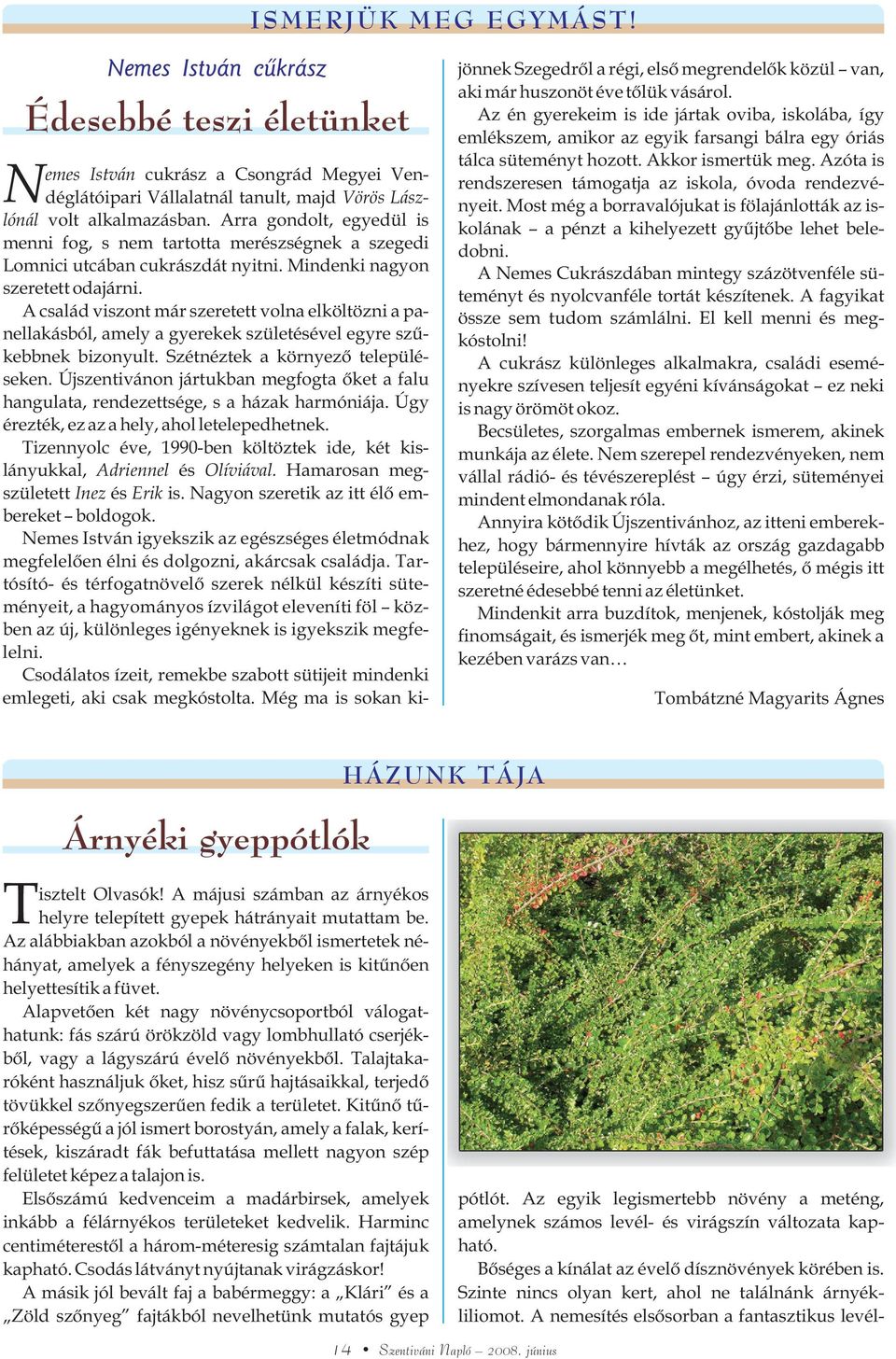 A család viszont már szeretett volna elköltözni a panellakásból, amely a gyerekek születésével egyre szûkebbnek bizonyult. Szétnéztek a környezõ településeken.