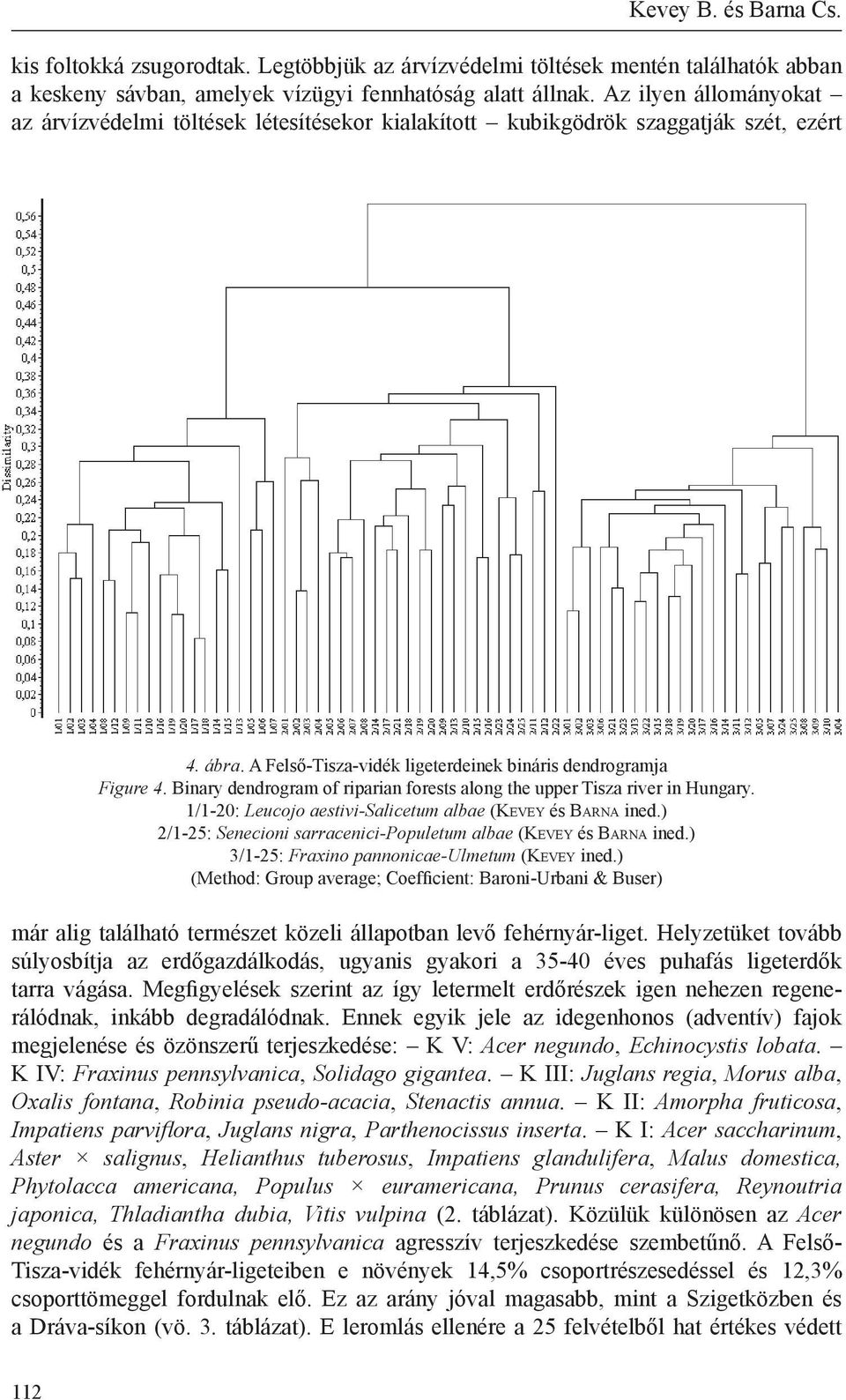 Binary dendrogram of riparian forests along the upper Tisza river in Hungary. 1/1-20: Leucojo aestivi-salicetum albae (Kevey és Barna ined.