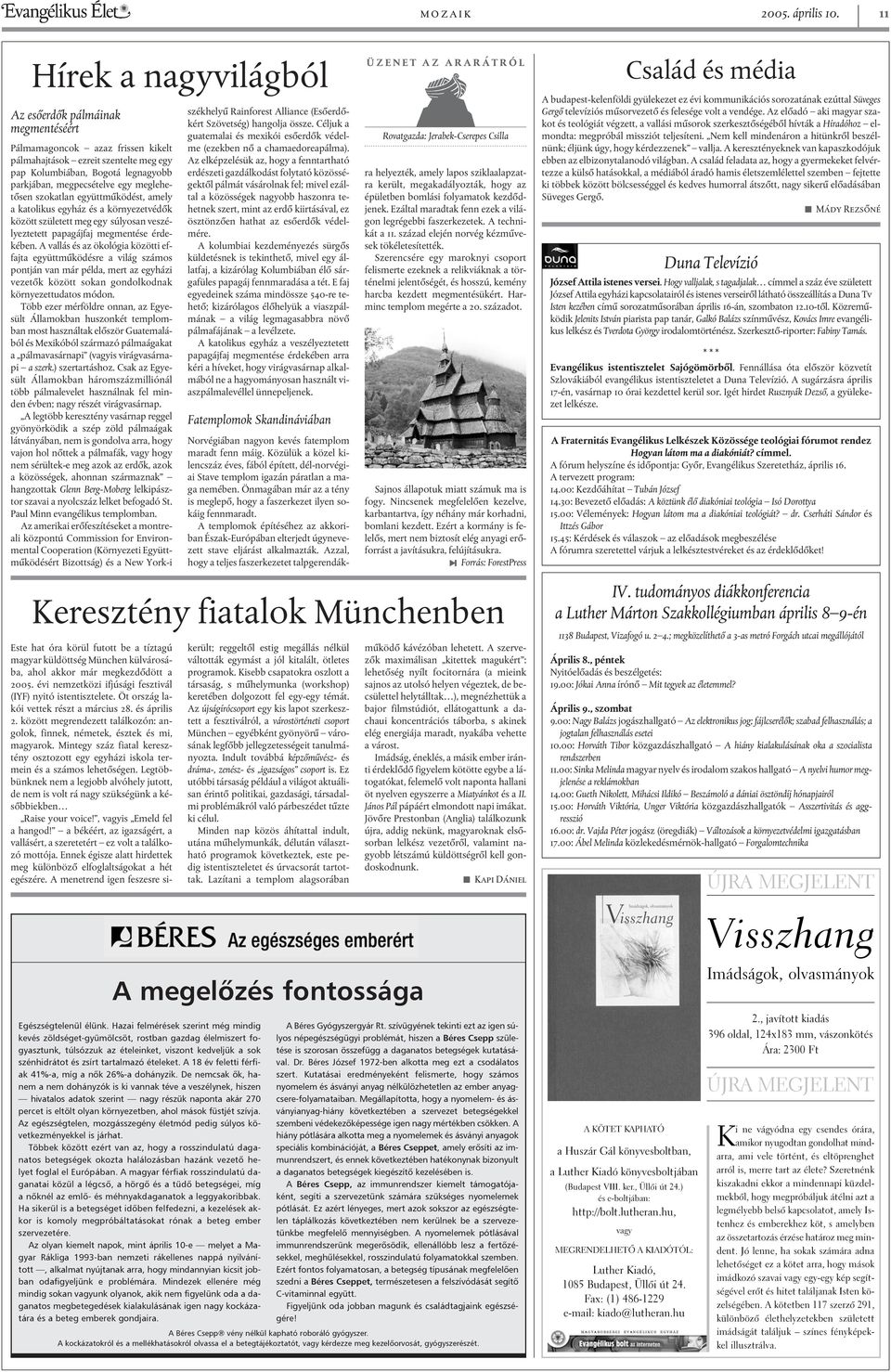 meglehetõsen szokatlan együttmûködést, amely a katolikus egyház és a környezetvédõk között született meg egy súlyosan veszélyeztetett papagájfaj megmentése érdekében.
