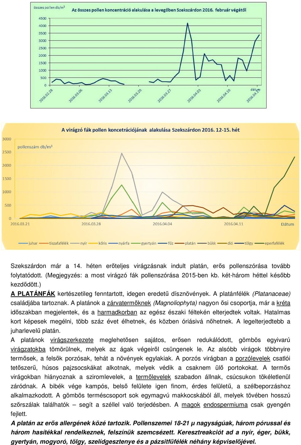 A platánok a zárvatermőknek (Magnoliophyta) nagyon ősi csoportja, már a kréta időszakban megjelentek, és a harmadkorban az egész északi féltekén elterjedtek voltak.