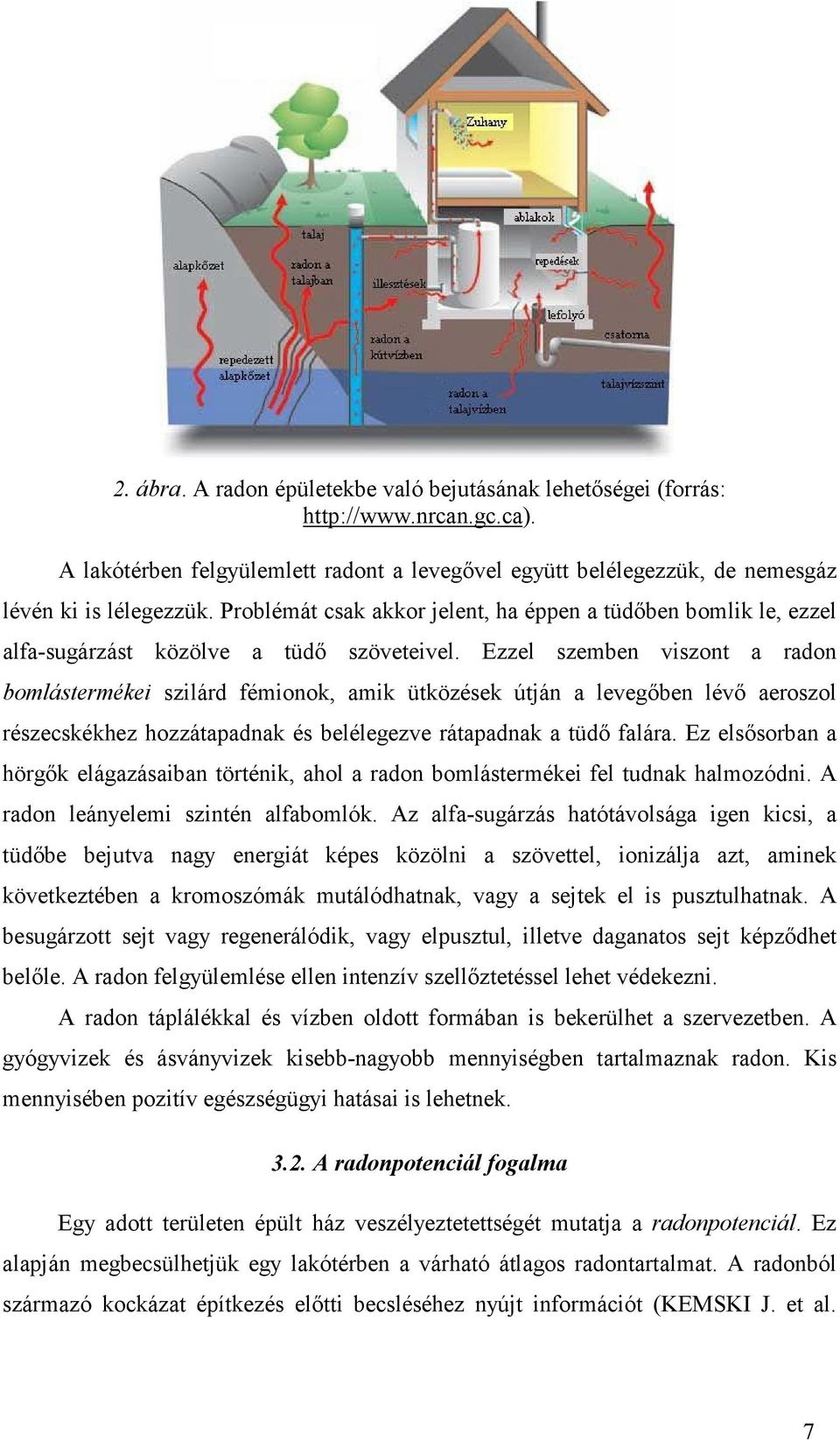 Ezzel szemben viszont a radon bomlástermékei szilárd fémionok, amik ütközések útján a levegıben lévı aeroszol részecskékhez hozzátapadnak és belélegezve rátapadnak a tüdı falára.