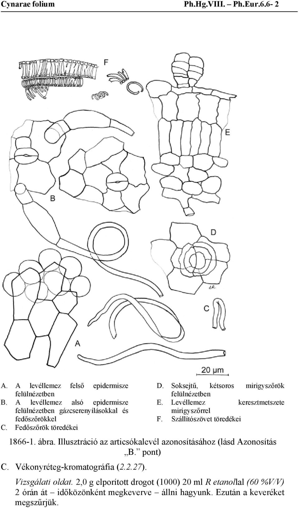 Soksejtű, kétsoros mirigyszőrök felülnézetben E. Levéllemez keresztmetszete mirigyszőrrel F. Szállítószövet töredékei 1866-1. ábra.