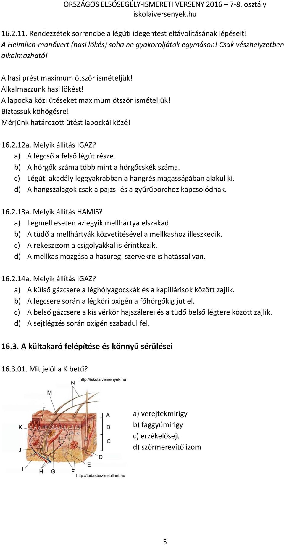 Melyik állítás IGAZ? a) A légcső a felső légút része. b) A hörgők száma több mint a hörgőcskék száma. c) Légúti akadály leggyakrabban a hangrés magasságában alakul ki.