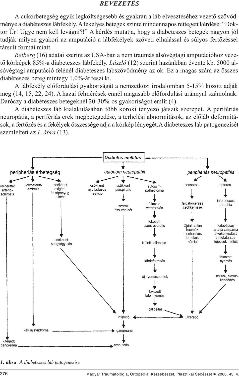 Reiberg (16) adatai szerint az USA-ban a nem traumás alsóvégtagi amputációhoz vezetõ kórképek 85%-a diabeteszes lábfekély. László (12) szerint hazánkban évente kb.