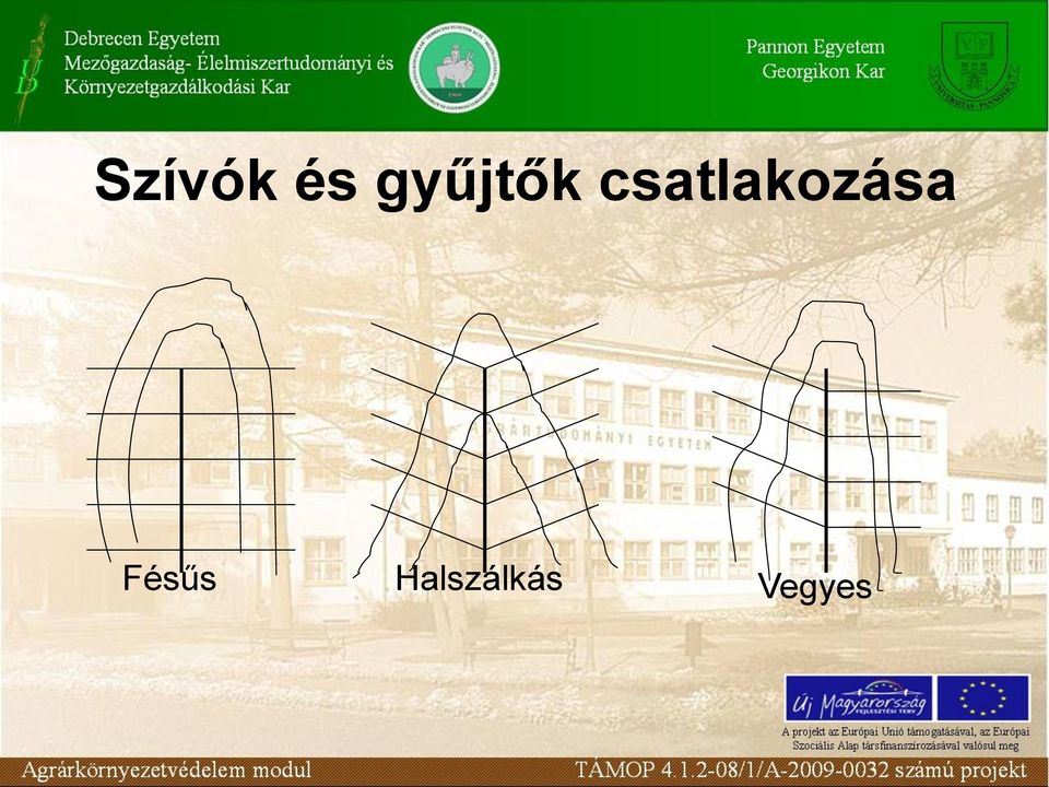 csatlakozása