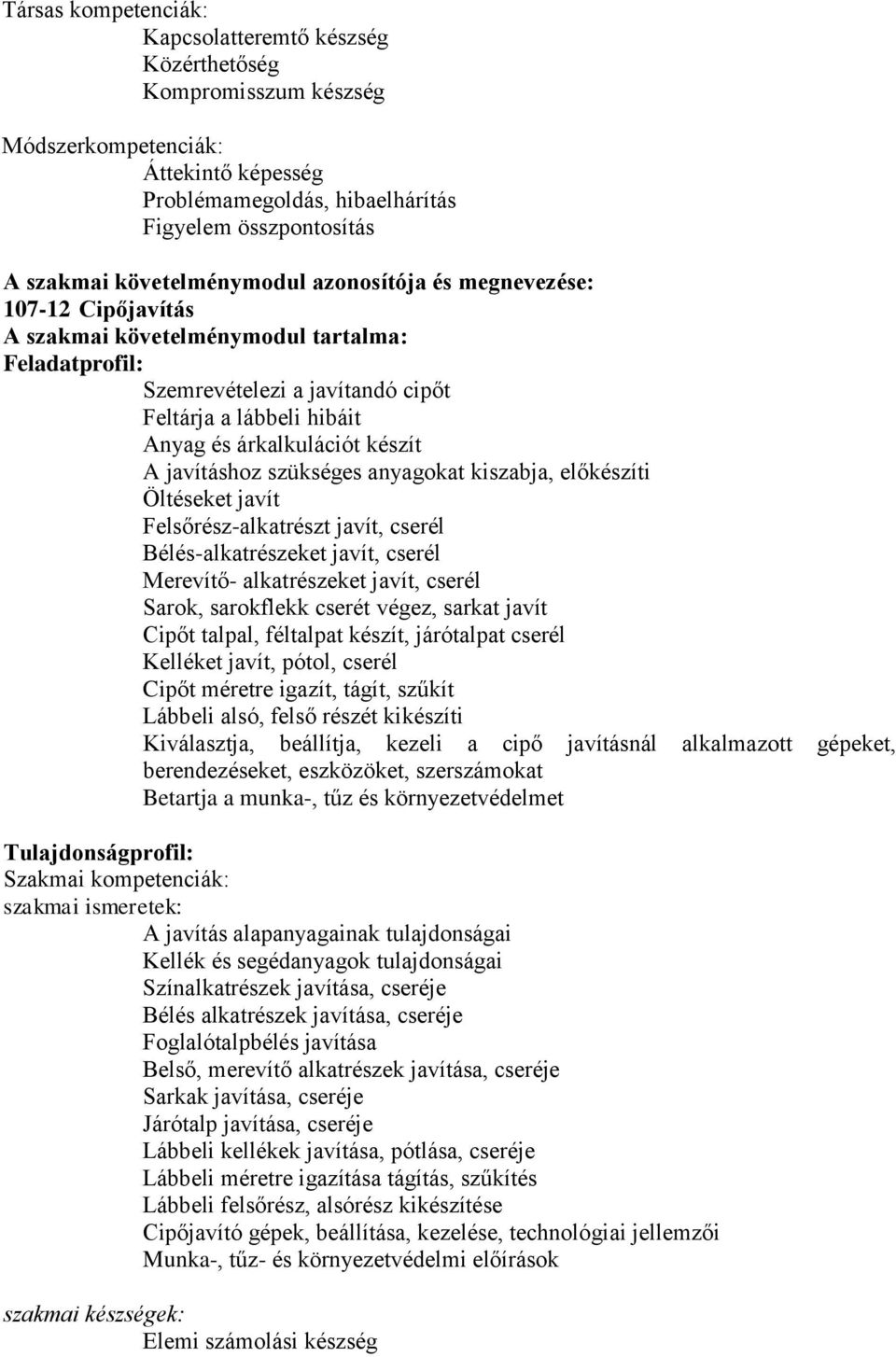 CIPŐKÉSZÍTŐ MESTERVIZSGA KÖVETELMÉNYEI - PDF Ingyenes letöltés