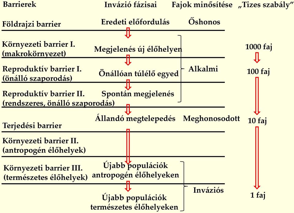 (önálló szaporodás) Önállóan túlélő egyed Alkalmi 100 faj Reproduktív barrier II.