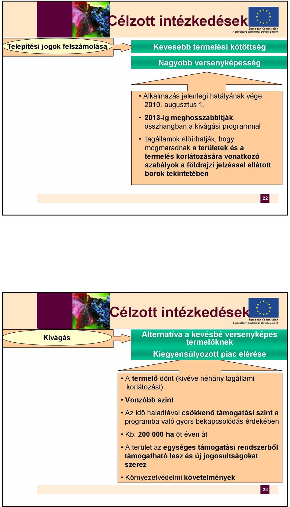 borok tekintetében 22 Célzott intézkedések Kivágás Alternatíva a kevésbé versenyképes termelőknek Kiegyensúlyozott piac elérése A termelő dönt (kivéve néhány tagállami korlátozást) Vonzóbb szint