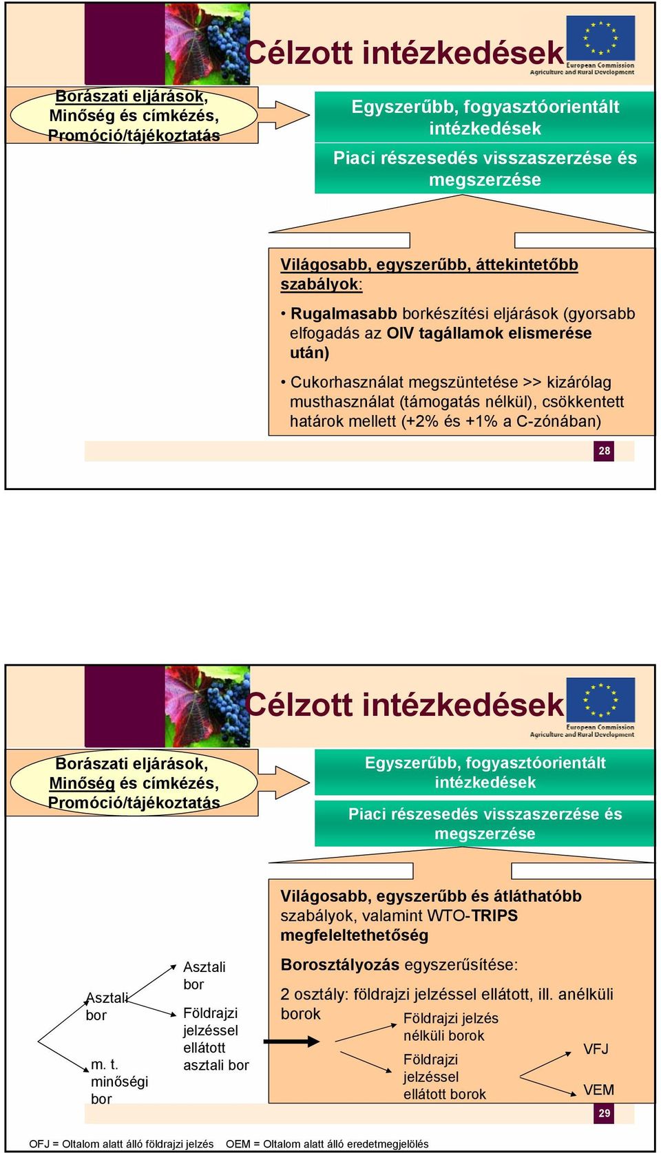 csökkentett határok mellett (+2% és +1% a C-zónában) 28 Célzott intézkedések Borászati eljárások, Minőség és címkézés, Promóció/tájékoztatás Egyszerűbb, fogyasztóorientált intézkedések Piaci