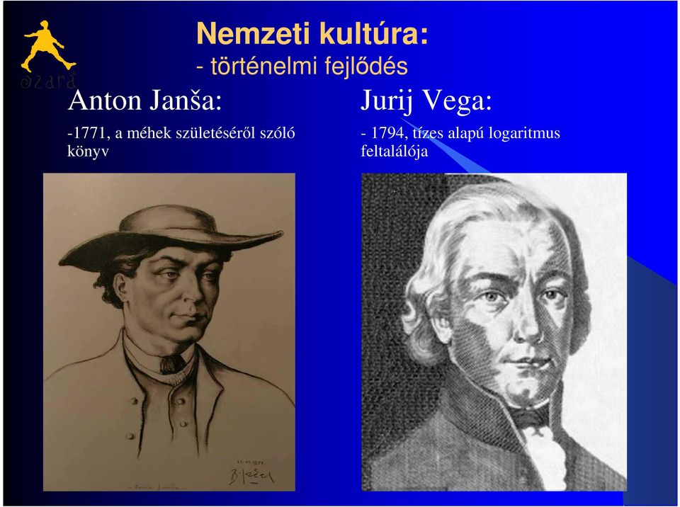 -1771, a méhek születéséről szóló