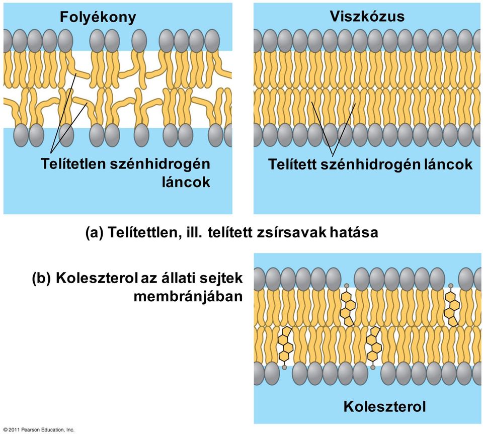 Telítettlen, ill.