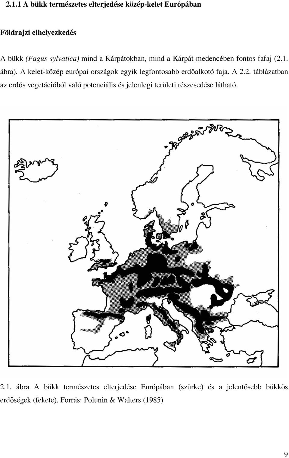 A kelet-közép európai országok egyik legfontosabb erdıalkotó faja. A 2.