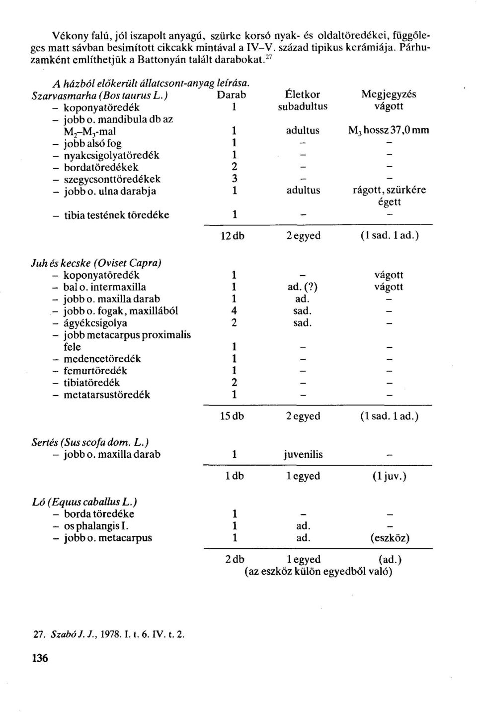 mandibula db az M 2 -M 3 -mal 1 - jobb alsó fog 1 - nyakcsigolyatöredék 1 - bordatöredékek 2 - szegycsonttöredékek 3 - jobbo.